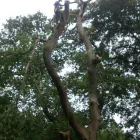 Business 5 image TESCO EXPRESS Grocers & Convenience Stores in Westerham Ke