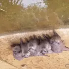 Business 2 image TESCO EXTRA Supermarkets in Northampton No