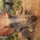 Business 3 image TESCO EXTRA Supermarkets in Northampton No