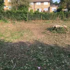 Business 1 image THE BEACONSFIELD GARDENER Tree Services in Beaconsfield Bu