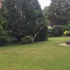 Business 3 image THE BEACONSFIELD GARDENER Tree Services in Beaconsfield Bu