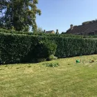 Business 4 image THE BEACONSFIELD GARDENER Tree Services in Beaconsfield Bu