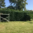 Business 7 image THE BEACONSFIELD GARDENER Tree Services in Beaconsfield Bu