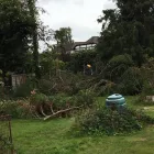 Business 8 image THE BEACONSFIELD GARDENER Tree Services in Beaconsfield Bu