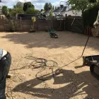 Business 12 image THE BEACONSFIELD GARDENER Tree Services in Beaconsfield Bu