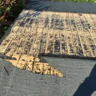 Business 13 image THE BEACONSFIELD GARDENER Tree Services in Beaconsfield Bu