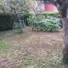 Business 15 image THE BEACONSFIELD GARDENER Tree Services in Beaconsfield Bu