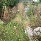 Business 22 image THE BEACONSFIELD GARDENER Tree Services in Beaconsfield Bu