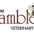 Business 3 image THE BRAMBLES VETERINARY SURGERY BARNWOOD ROAD Veterinary Services in Gloucester Gl