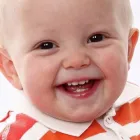 Business 5 image THE FARMYARD Hotels & Inns in Yeovil So