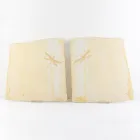 Business 8 image THE FOSSIL STORE Shopping & Retail in Wirral Me