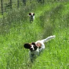 Business 1 image THE GLASGOW TUNING & M O T CENTRE Car Engine Tuning & Conversion in Glasgow La