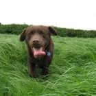 Business 5 image THE GLASGOW TUNING & M O T CENTRE Car Engine Tuning & Conversion in Glasgow La