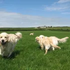 Business 7 image THE GLASGOW TUNING & M O T CENTRE Car Engine Tuning & Conversion in Glasgow La