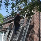 Business 11 image THE GOLDEN DUSTER Domestic Cleaning in Northolt Mi
