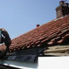 Business 6 image THE GOLDEN DUSTER Domestic Cleaning in Northolt Mi