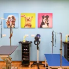 Business 1 image THE GROOM ROOM EPSOM Pets & Animals in Epsom Su