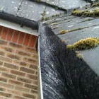 Business 1 image THE GUTTER CLEANING PEOPLE Roof Cleaning in Reading Be