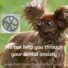 Business 12 image THE HARROW DENTAL PRACTICE HORNCHURCH Plastic & Cosmetic Surgery in Hornchurch Gr