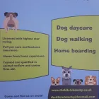 Business 35 image THE K9 CLUB DERBY Pets & Animals in Derby De