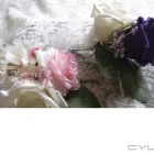 Business 3 image THE PERSONAL TOUCH FLORIST BY JENNY Shopping & Retail in Stafford St