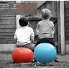 Business 9 image THE ROYAL STANDARD Pubs in Yeovil So