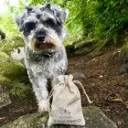 Business 18 image THE WEE HEMP COMPANY Vitamin & Supplements Shops in Aberdeen Ab