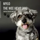 Business 19 image THE WEE HEMP COMPANY Vitamin & Supplements Shops in Aberdeen Ab