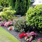 Business 1 image THE WILTSHIRE GOLF & COUNTRY CLUB Golf Clubs in Swindon Wi
