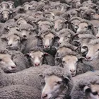 Business 3 image THOROUGH SERVICES GROUP Commercial Cleaning in Hornchurch Gr