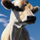 Business 2 image THOROUGH SERVICES GROUP Commercial Cleaning in Hornchurch Gr