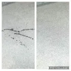 Business 50 image TITANIUM CLEANING Upholstery Cleaners in Hornchurch Gr