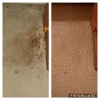 Business 89 image TITANIUM CLEANING Upholstery Cleaners in Hornchurch Gr