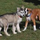 Business 2 image TONI&GUY Hairdressers in Hull No