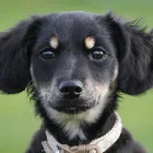 Business 5 image TONI&GUY Hairdressers in Hull No