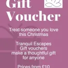 Business 21 image TRANQUIL ESCAPES Spa Services in Dudley We