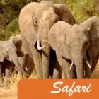 Business 1 image TRAVEL WITH US LTD Travel Agents in Banbury Ox