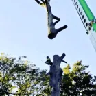 Business 2 image TREE NINJAS Tree Surgeons in Epsom Su