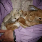 Business 5 image TROYKA ASSOCIATES LTD Architects in Birmingham We