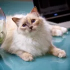 Business 6 image TROYKA ASSOCIATES LTD Architects in Birmingham We