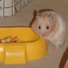 Business 8 image TROYKA ASSOCIATES LTD Architects in Birmingham We