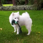 Business 9 image TROYKA ASSOCIATES LTD Architects in Birmingham We