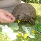 Business 1 image TROYKA ASSOCIATES LTD Architects in Birmingham We