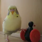 Business 2 image TROYKA ASSOCIATES LTD Architects in Birmingham We