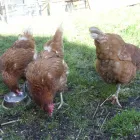 Business 4 image TROYKA ASSOCIATES LTD Architects in Birmingham We