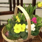 Business 1 image TUTSHILL C OF E SCHOOL Schools & Colleges in Chepstow Gw