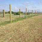 Business 5 image TY RHIW FARM Stables in Cardiff So