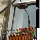 Business 3 image U.K BUGGY Lawnmowers & Garden Equipment in CHRISTCHURCH Do