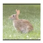 Business 1 image UK15.CO.UK Advertising Agencies in UXBRIDGE Gr