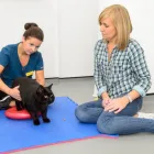 Business 12 image VALLEY VETS, YSTRAD MYNACH Veterinary Services in Ystrad Mynach Mi